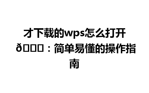 才下载的wps怎么打开 🎉：简单易懂的操作指南