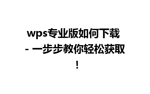 wps专业版如何下载 - 一步步教你轻松获取！