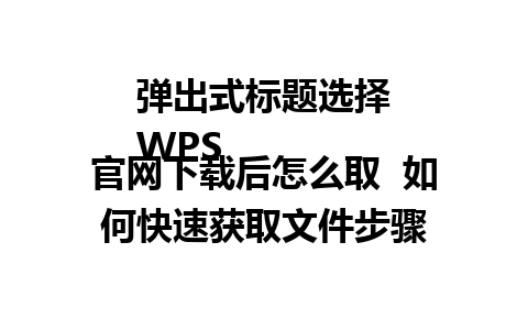  弹出式标题选择
WPS官网下载后怎么取  如何快速获取文件步骤