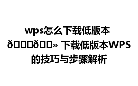  wps怎么下载低版本 👉🏻 下载低版本WPS的技巧与步骤解析