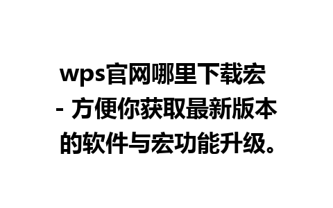 wps官网哪里下载宏 - 方便你获取最新版本的软件与宏功能升级。