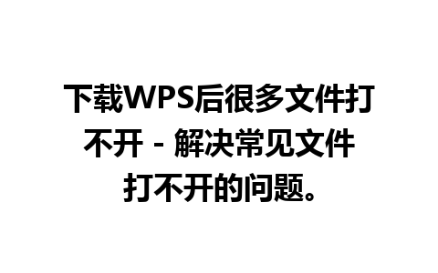 下载WPS后很多文件打不开 - 解决常见文件打不开的问题。