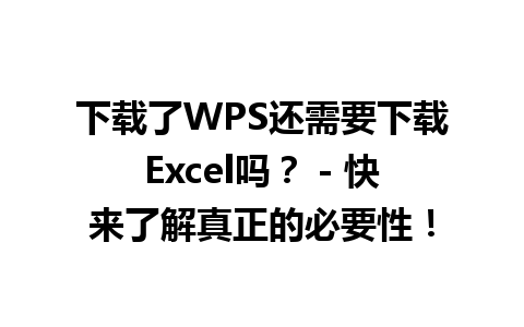 下载了WPS还需要下载Excel吗？ - 快来了解真正的必要性！