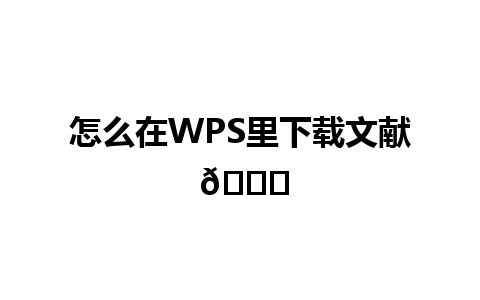 怎么在WPS里下载文献 📄