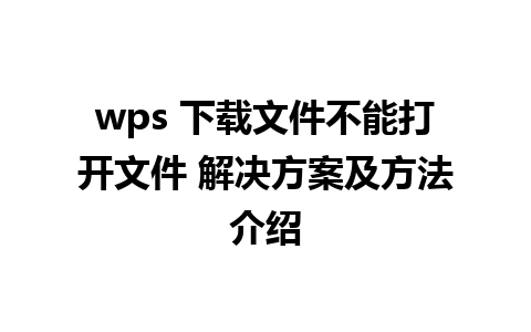 wps 下载文件不能打开文件 解决方案及方法介绍