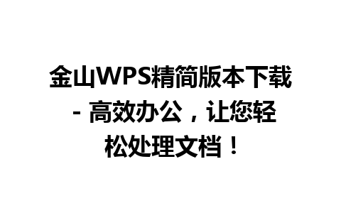 金山WPS精简版本下载 - 高效办公，让您轻松处理文档！