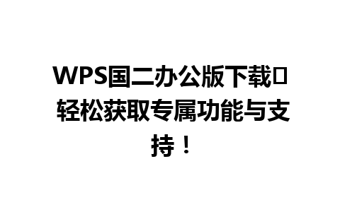 WPS国二办公版下载⭐ 轻松获取专属功能与支持！