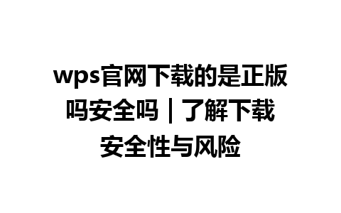 wps官网下载的是正版吗安全吗 | 了解下载安全性与风险