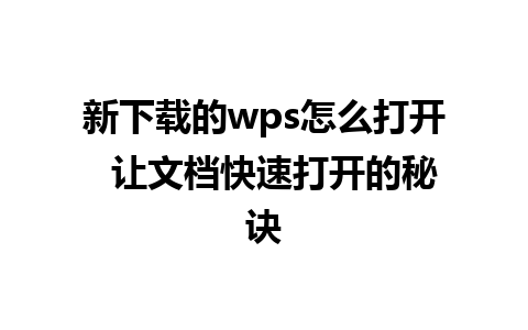 新下载的wps怎么打开  让文档快速打开的秘诀