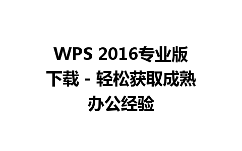 WPS 2016专业版下载 - 轻松获取成熟办公经验