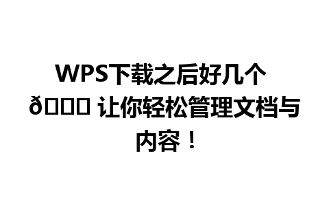 WPS下载之后好几个 🚀 让你轻松管理文档与内容！