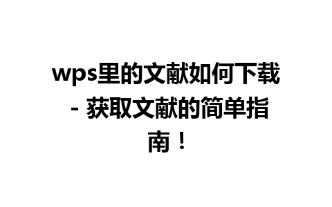  wps里的文献如何下载 - 获取文献的简单指南！