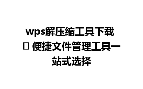 wps解压缩工具下载 ⭐ 便捷文件管理工具一站式选择