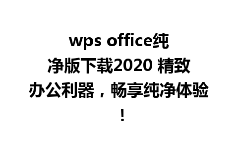 wps office纯净版下载2020 精致办公利器，畅享纯净体验！