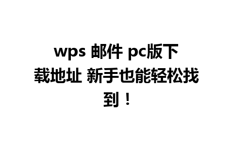 wps 邮件 pc版下载地址 新手也能轻松找到！