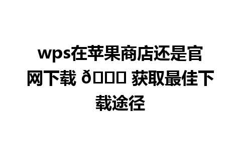 wps在苹果商店还是官网下载 🌐 获取最佳下载途径