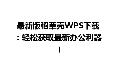  最新版稻草壳WPS下载：轻松获取最新办公利器！

