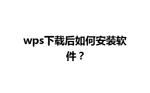 wps下载后如何安装软件？