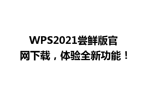  WPS2021尝鲜版官网下载，体验全新功能！