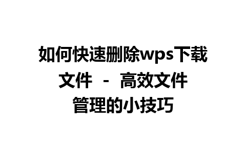 如何快速删除wps下载文件  -  高效文件管理的小技巧