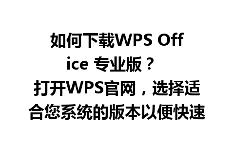 如何下载WPS Office 专业版？  
打开WPS官网，选择适合您系统的版本以便快速下载。