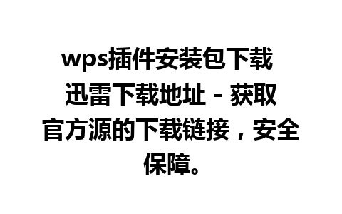 wps插件安装包下载 迅雷下载地址 - 获取官方源的下载链接，安全保障。