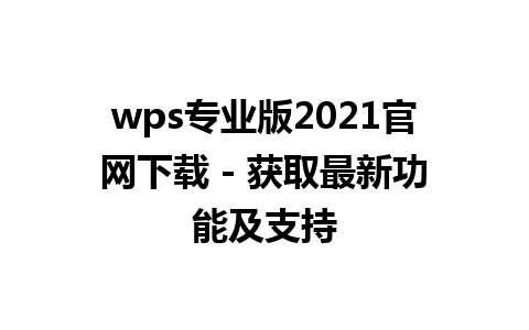  wps专业版2021官网下载 - 获取最新功能及支持