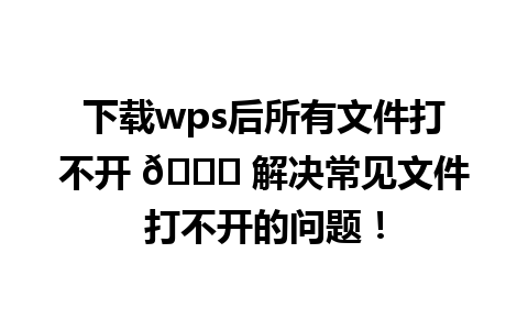 下载wps后所有文件打不开 🌟 解决常见文件打不开的问题！