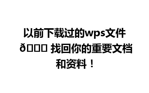 以前下载过的wps文件 🌟 找回你的重要文档和资料！