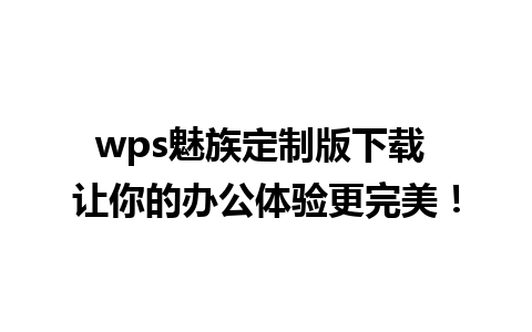 wps魅族定制版下载 让你的办公体验更完美！