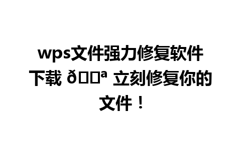 wps文件强力修复软件下载 💪 立刻修复你的文件！