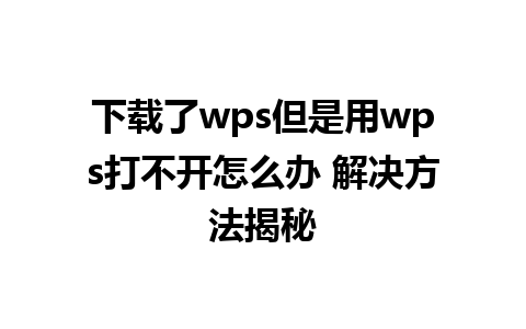 下载了wps但是用wps打不开怎么办 解决方法揭秘  
