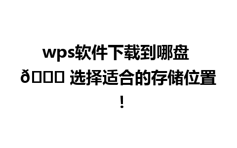 wps软件下载到哪盘 🌟 选择适合的存储位置！