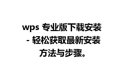 wps 专业版下载安装 - 轻松获取最新安装方法与步骤。