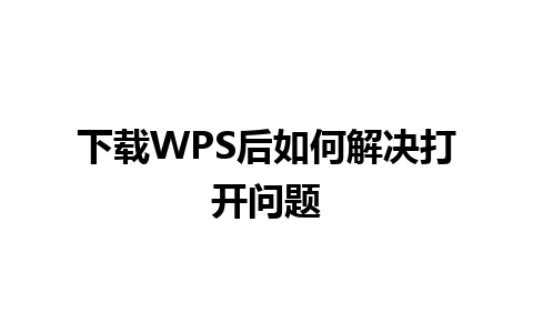 下载WPS后如何解决打开问题