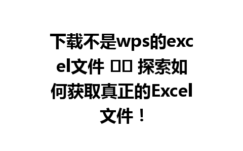 下载不是wps的excel文件 ☄️ 探索如何获取真正的Excel文件！