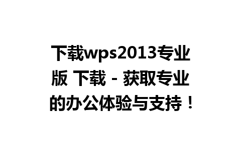 下载wps2013专业版 下载 - 获取专业的办公体验与支持！