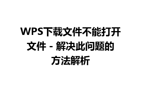 WPS下载文件不能打开文件 - 解决此问题的方法解析