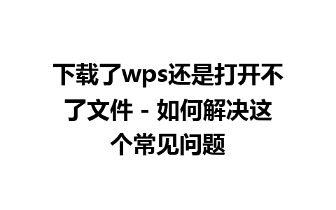 下载了wps还是打开不了文件 - 如何解决这个常见问题