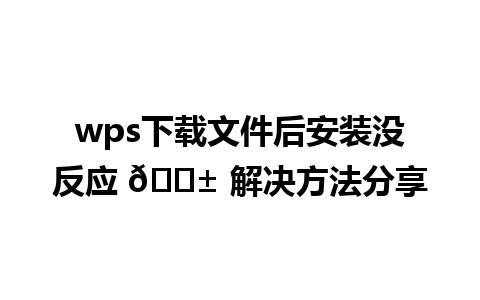 wps下载文件后安装没反应 😱 解决方法分享