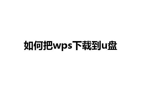 如何把wps下载到u盘  

