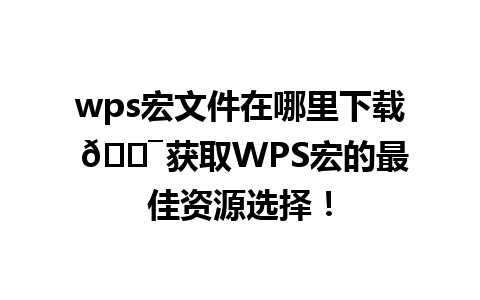 wps宏文件在哪里下载 🎯 获取WPS宏的最佳资源选择！