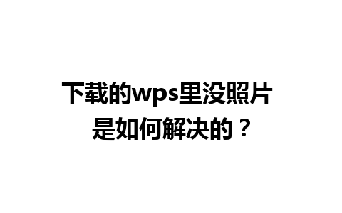 下载的wps里没照片 是如何解决的？