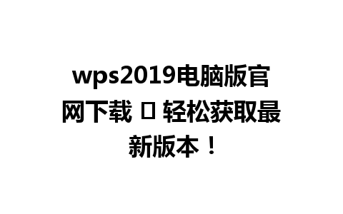  wps2019电脑版官网下载 ✨ 轻松获取最新版本！