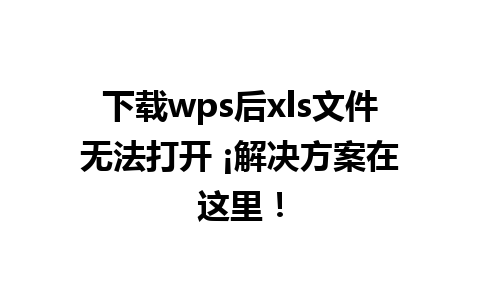 下载wps后xls文件无法打开 ¡解决方案在这里！