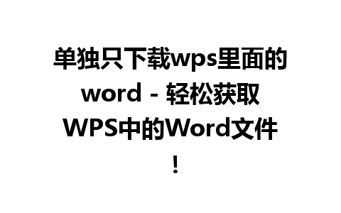 单独只下载wps里面的word - 轻松获取WPS中的Word文件！