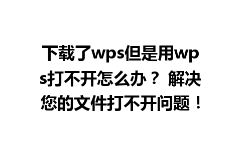 下载了wps但是用wps打不开怎么办？ 解决您的文件打不开问题！