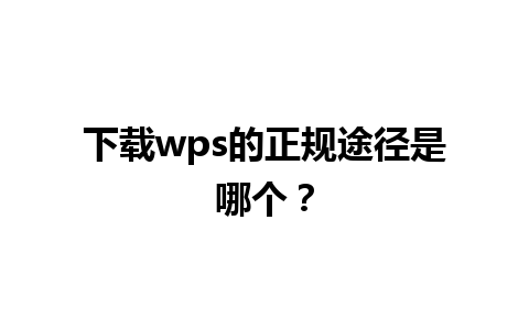 下载wps的正规途径是哪个？