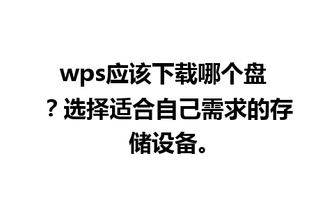 wps应该下载哪个盘 ？选择适合自己需求的存储设备。