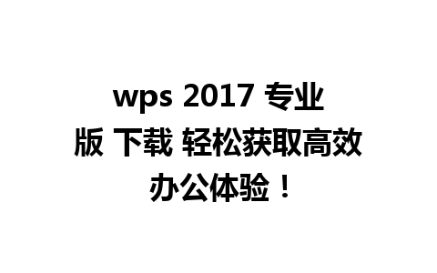 wps 2017 专业版 下载 轻松获取高效办公体验！